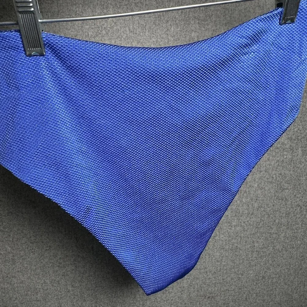 Aerie Large High Cut Cheeky Swim Bikini Bottom Blue Summer NWT Bathing‎ Suit